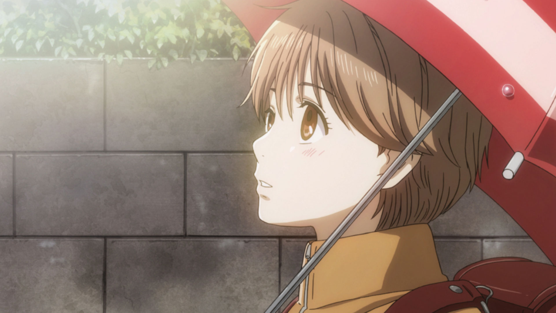 ちはやふる | バンダイチャンネル｜最新作から不朽の名作までアニメ