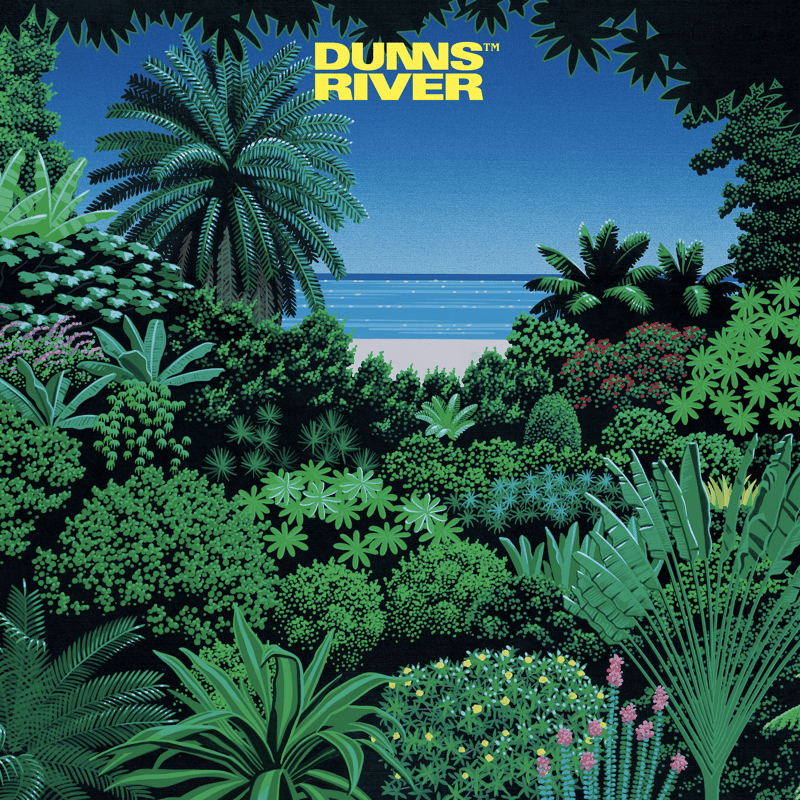 DUNNS RIVER 「LAND -TODOKETAI」(7inch) | MEDZ SHOP