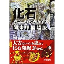 化石ウォーキングガイド 関東甲信越版: 古代ロマンを求めて化石発掘26
