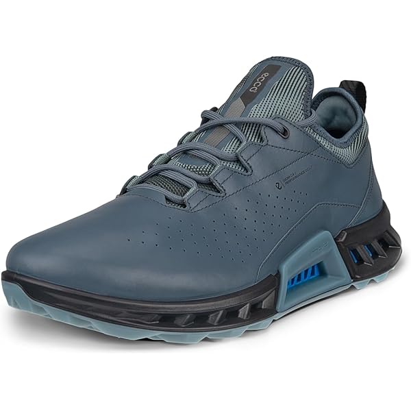 Amazon.com | ECCO Men's Biom C4 Boa Gore-tex Waterproof Golf Shoe