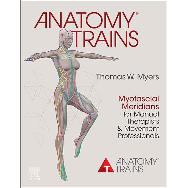 Anatomy Trains E-Book eBook : Myers, Thomas W.: Amazon.ca: Books