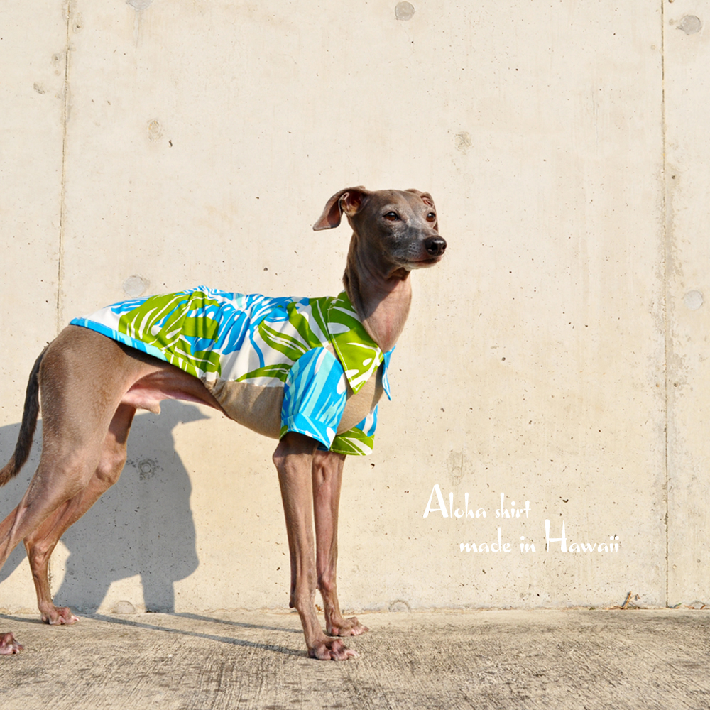 犬服｜アロハシャツ（モンステラ）｜アメリカハワイ輸入プリント
