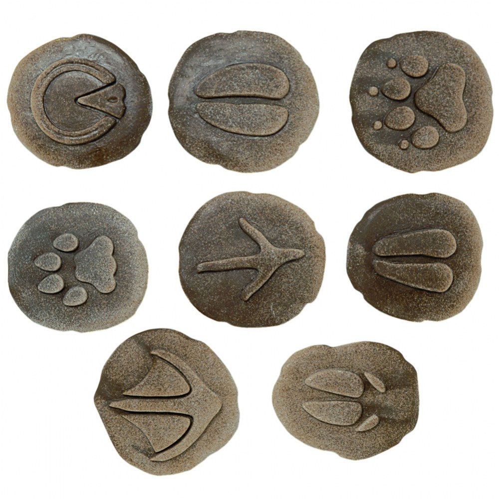 Farmyard Footprints™ Stones - Set of 8 | Kaplan Early Learning