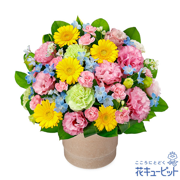 カラフルなポットアレンジメント - アレンジメント(法人） ［512620
