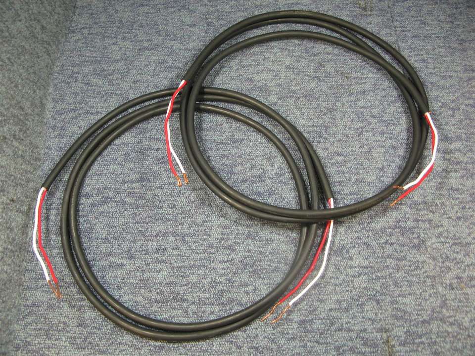 SPC REFERENCE TripleC/2.0m ACOUSTIC REVIVE - 中古オーディオ 高価