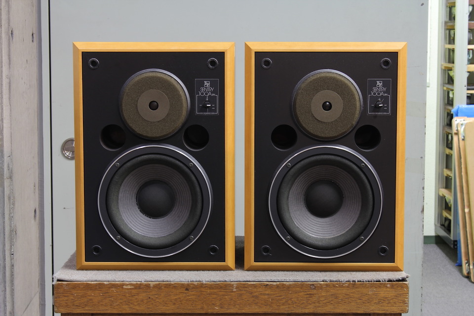 Electro Voice Eliminator Monitor①1本 エレクトロボイス(ELECTRO