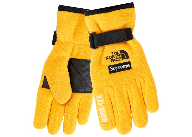 Supreme-The-North-Face-RTG-