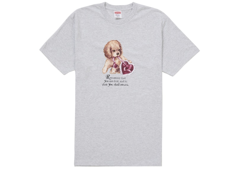 Supreme-Dust-Tee-Ash-Grey-