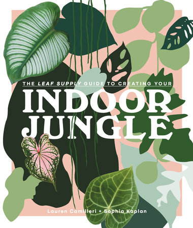 The Leaf Supply Guide to Creating Your Indoor Jungle - Rizzoli New