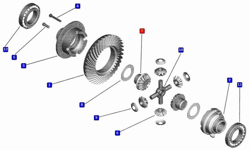 4370-2403050 Шестерня полуоси МАЗ 4370 ЗУБРЕНОК (грибок) 103