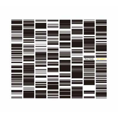 test pattern(CD)｜RYOJI IKEDA｜mu-moショップ