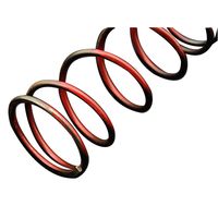 スーパークラッチセンタースプリング 3%UP/L-DIOZX - バイク