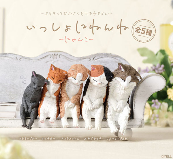 いっしょにねんね にゃんこ 10個入りBOX[エール]《在庫切れ》