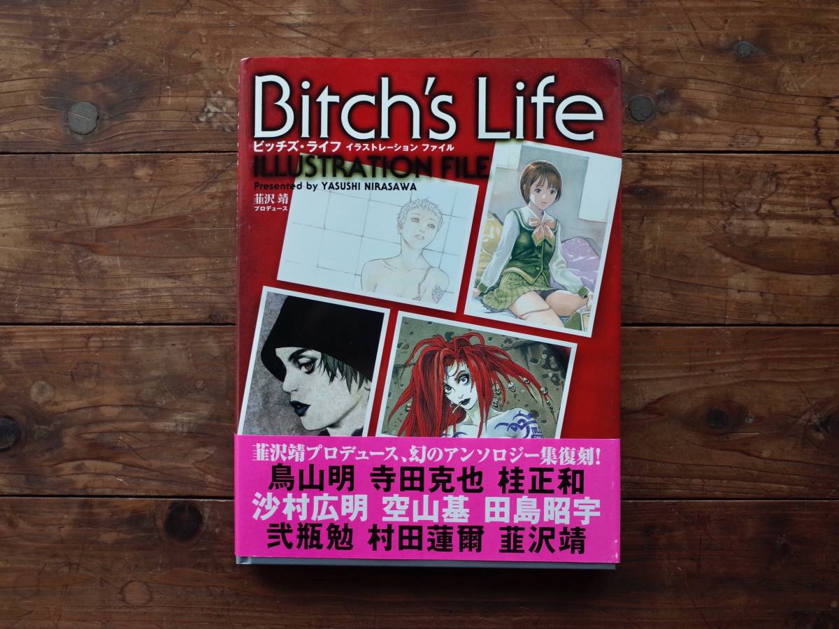 美品】 BITCH'S LIFE イラストレーションファイル ビッチズ ライフ