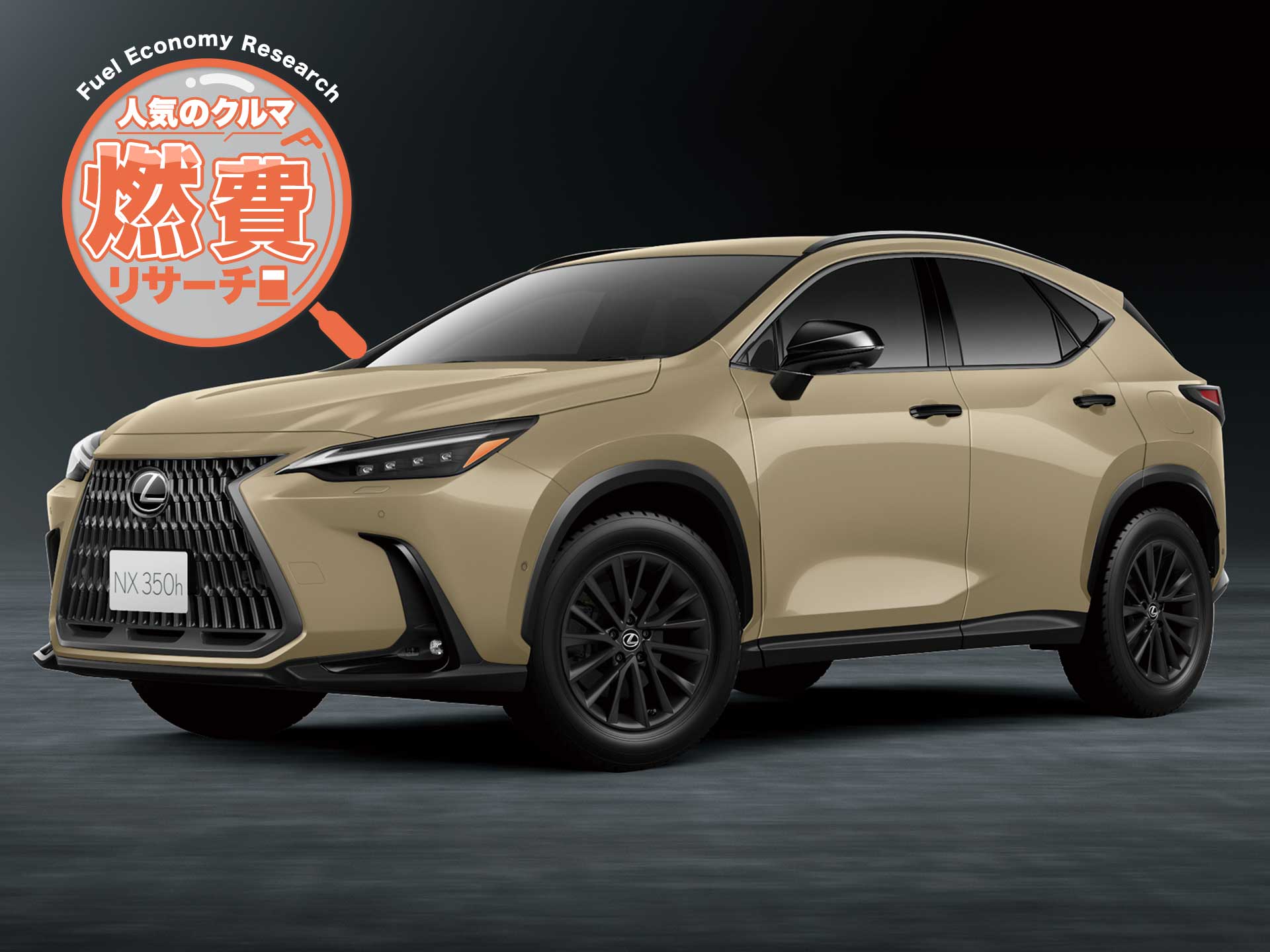 レクサス NX NX350h バージョンL モデリスタエアロ 14