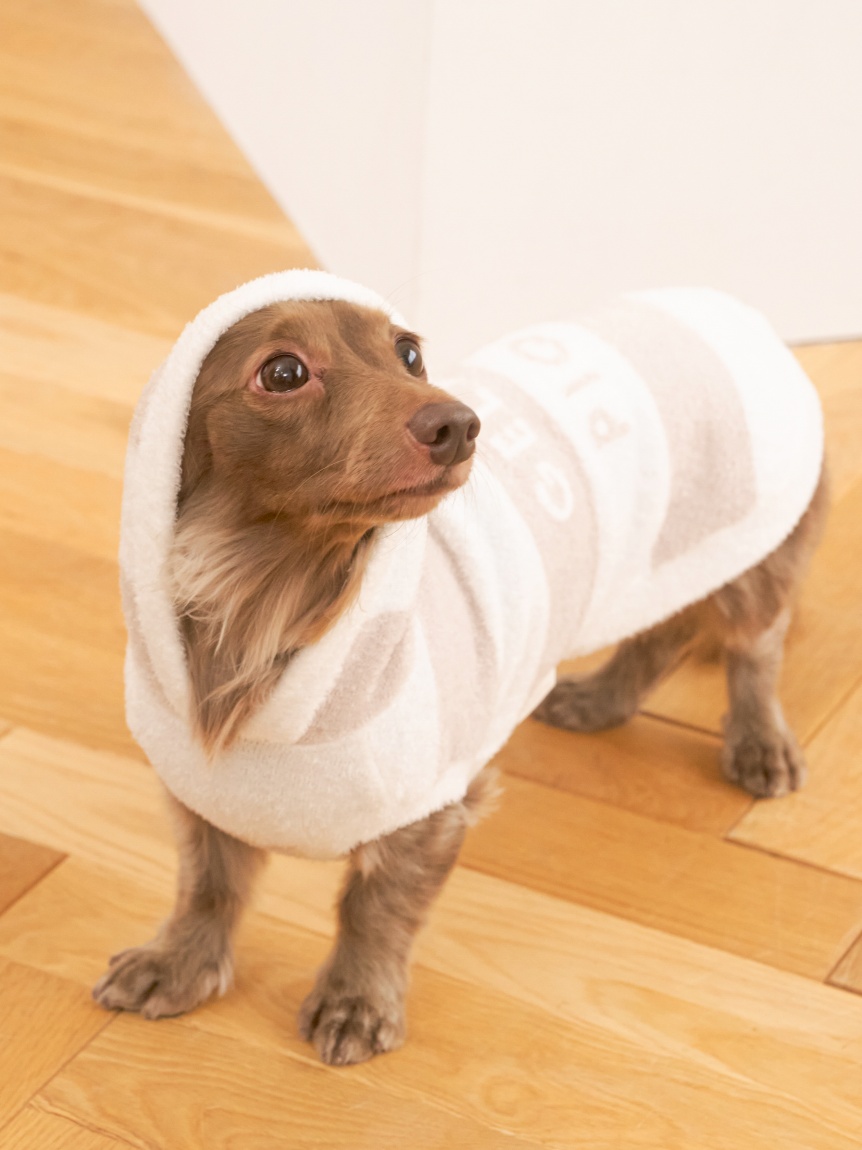 CAT&DOG】スムーズィーダックスサイズ2ボーダーフーディー(ウェア