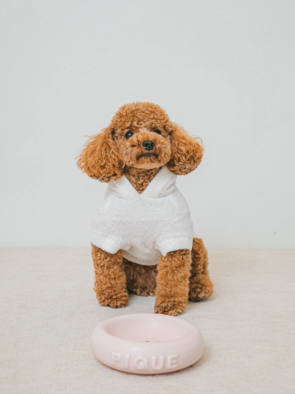 すべてのカテゴリ【gelato pique】 犬の日 ｜ルームウェア・パジャマ