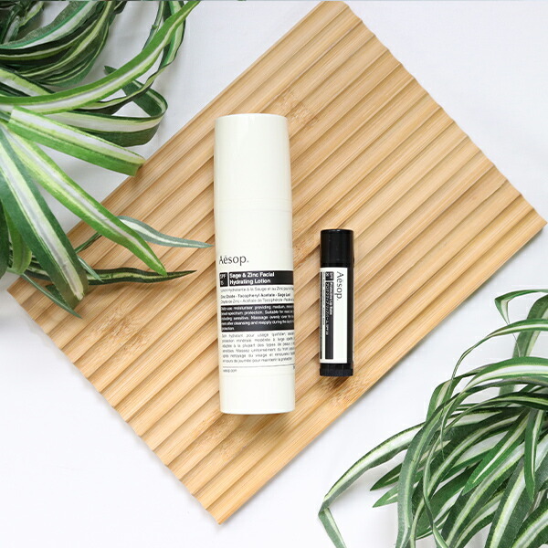 公式巾着＆BOX付き イソップ Aesop サンケアセット 日焼け止め リップ