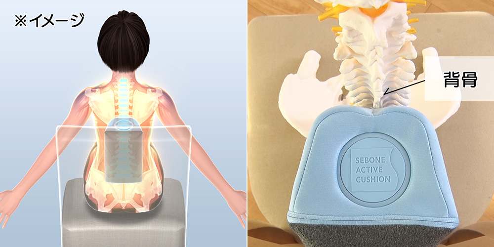 dショッピング |背骨アクティブクッション スリミング器具 シェイプ