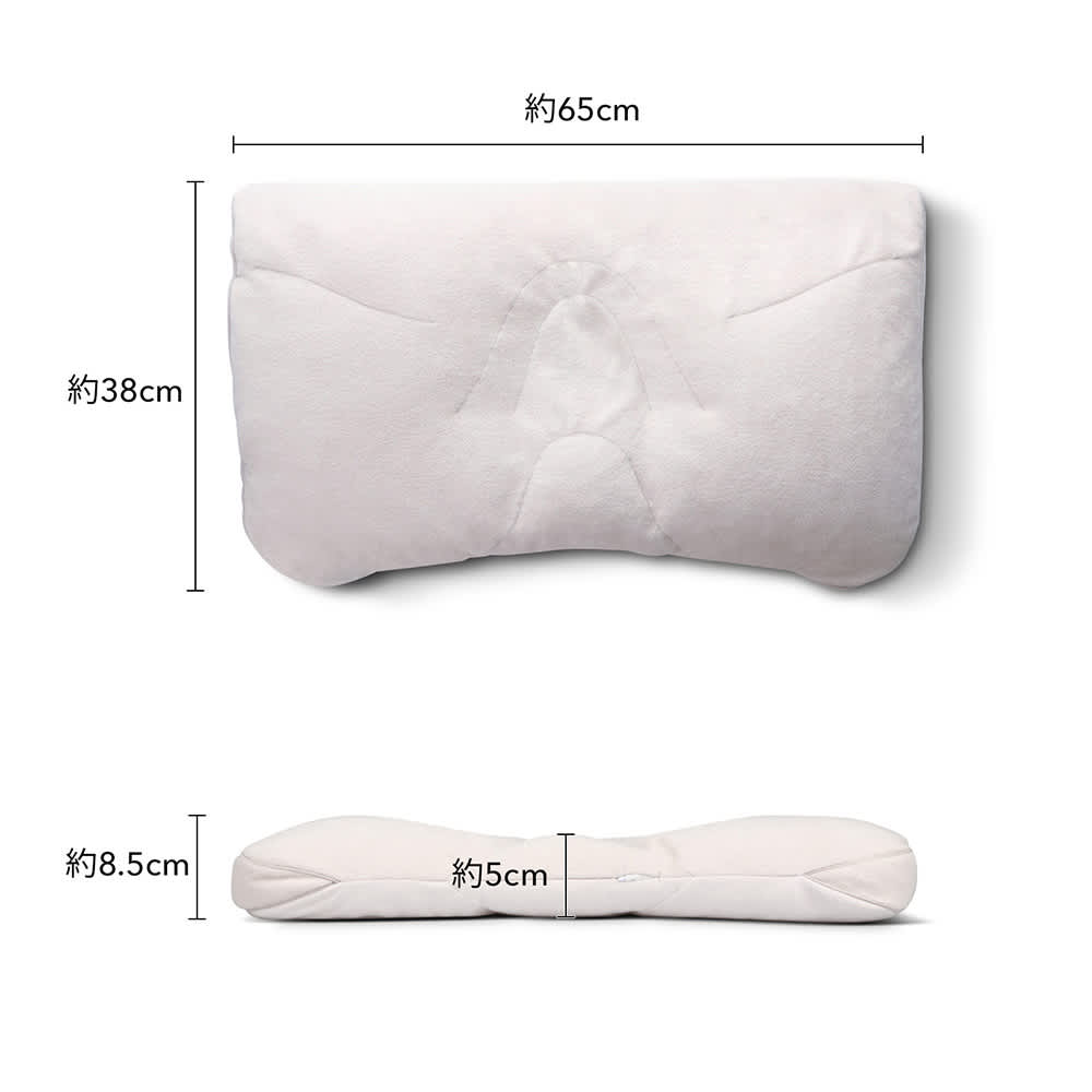 美しせPremium 枕いらずの方向け枕 通販 - ディノス