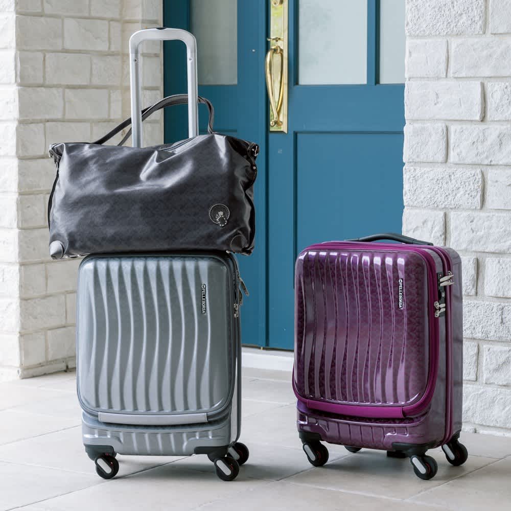 まりめっこさん用 ペレボルサAlive ボストンバッグ グレージュ Alive