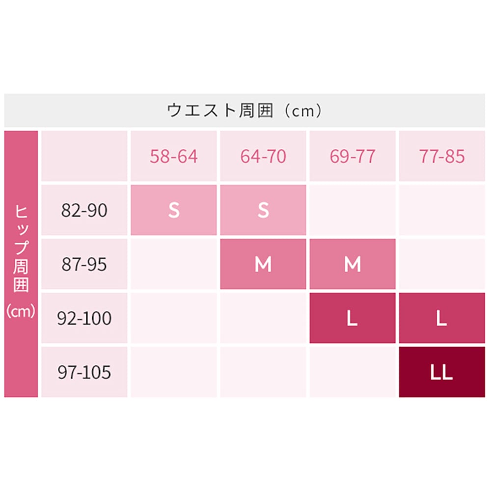 SIXPAD/シックスパッド 骨盤底筋ケアガードル 通販 - ディノス