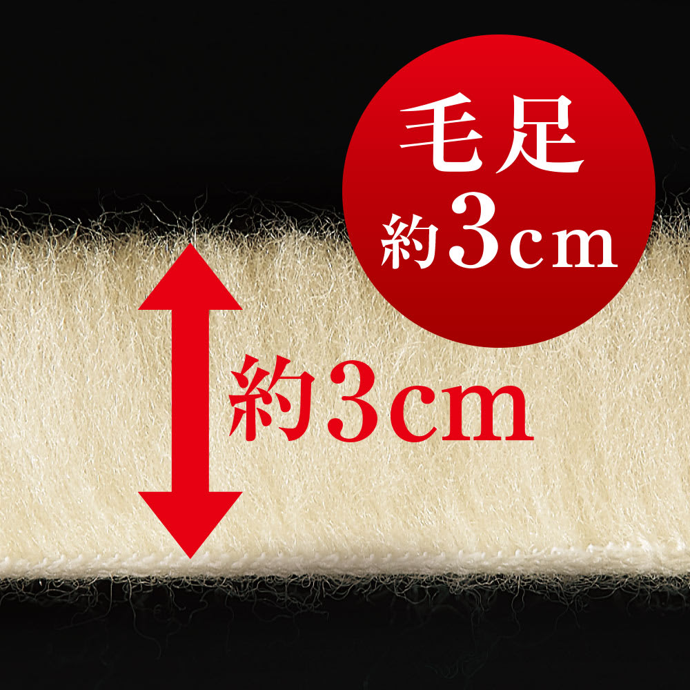 THE PREMIUM Sofwool 2/ザ・プレミアムソフゥール2 掛け毛布 通販