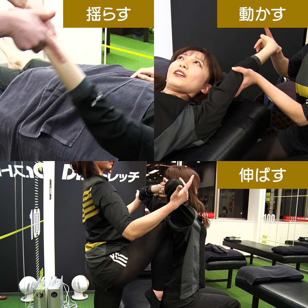 Dr.Stretch】監修 コアストレッチバンド 通販 - ディノス