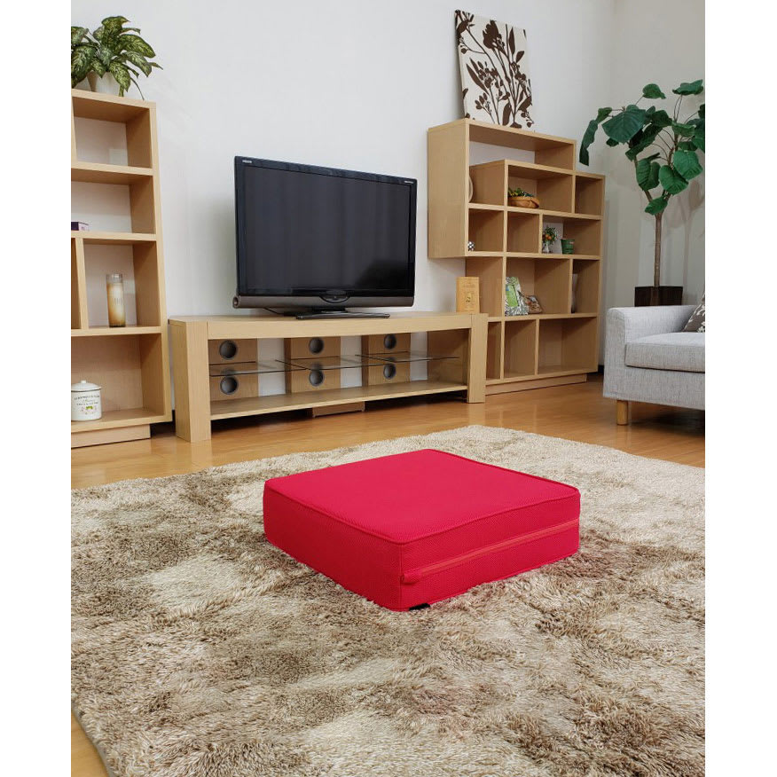 パーフェクトエクサ 通販 - ディノス