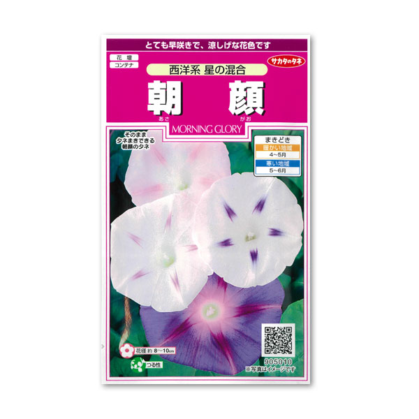 園芸ネット本店｜アサガオ（イポメア）：西洋系 星の混合[サカタ 花
