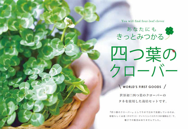 園芸ネット本店｜[ギフトに]四つ葉のクローバー栽培セット の通販【公式】