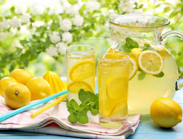 園芸ネット本店｜レモン：タネ無しレモン・シードレスあや4号ポット の