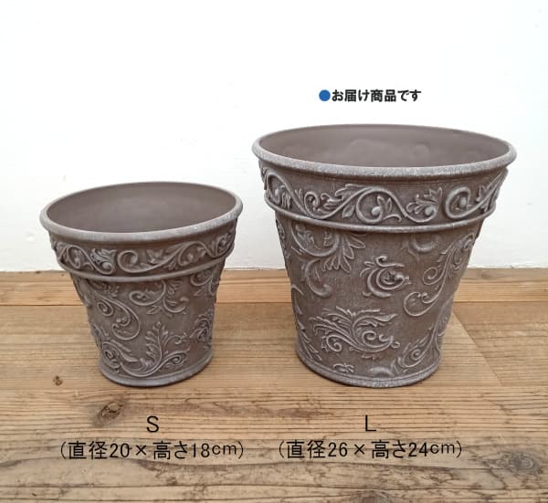 園芸ネット本店｜ボールドアラベスク ベーシックLダークブラウン