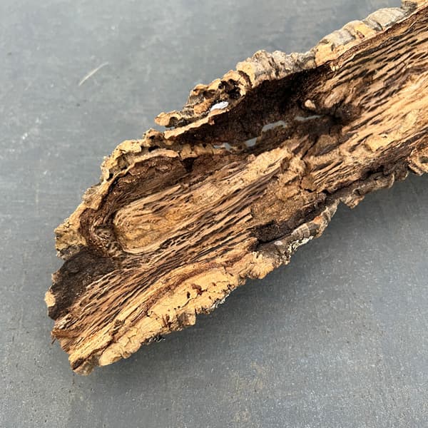 園芸ネット本店｜コルク樹皮：長さ約60cm（24-10） の通販【公式】