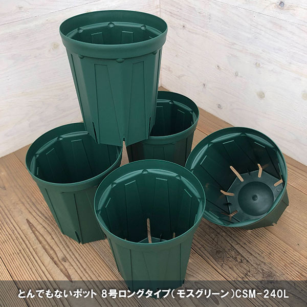 園芸ネット本店｜スリット鉢8号ロングタイプ CSM-240L（モスグリーン