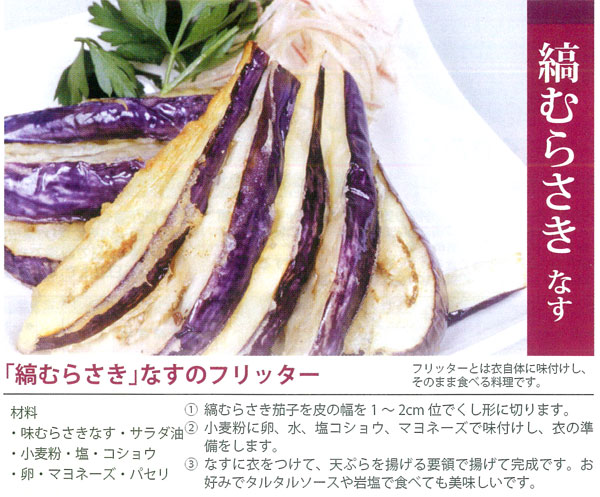 園芸ネット本店｜ナス：縞むらさき[野菜タネ] の通販【公式】