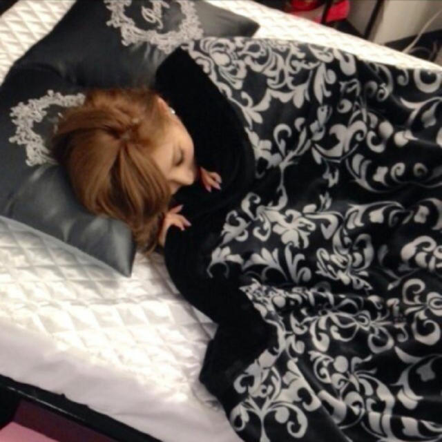 Rady - rady 美品♡箱付き ロイヤルダマスク柄毛布 ダブル ブラック