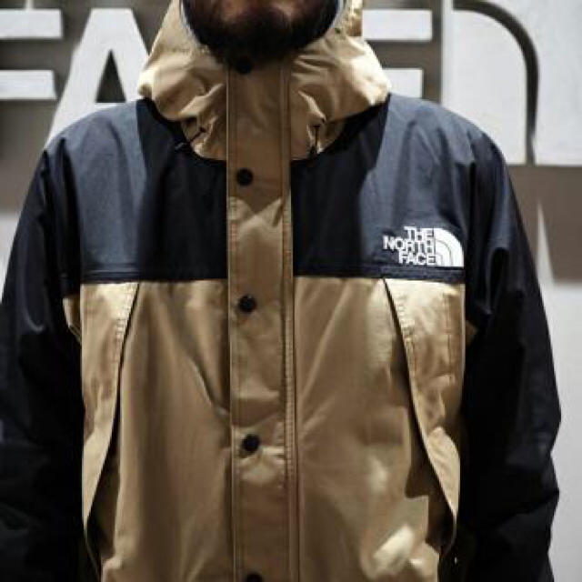 THE NORTH FACE - 国内正規 Lサイズ ノースフェイス マウンテンライト