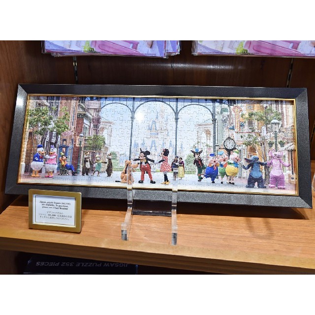 Disney - ☆ディズニーリゾート限定☆ 実写 イマジニングザマジック