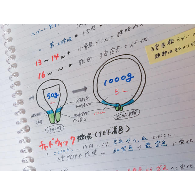 母性看護学、看護師国家試験、助産師国家試験対策まとめノートの通販