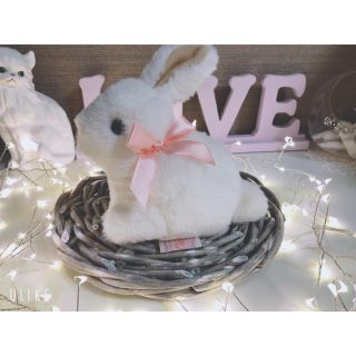 Katie（ポーチ）のフリマアイテム一覧