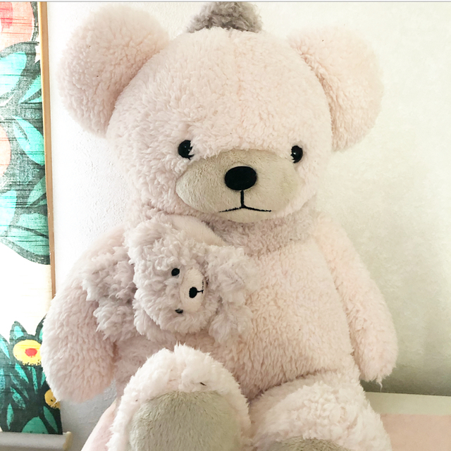 テディベア くま ぬいぐるみ マスコット 限定品 - 4 3/22 ご当地ベア