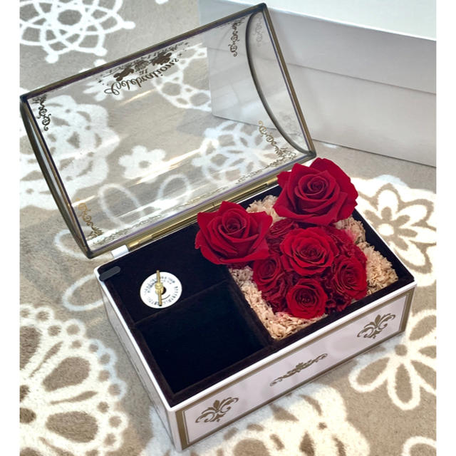 Disney - ディズニーホテル ミラコスタ 宿泊者限定 オルゴール♪の通販