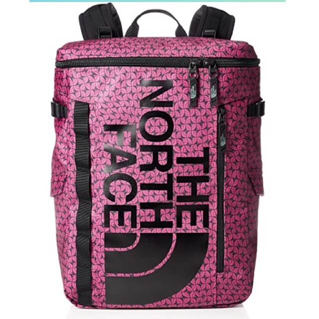 THE NORTH FACE - 【新品未使用】希少廃盤ノースフェイスヒューズ