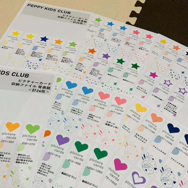 ペッピーキッズ】ピクチャーカード 収納ファイル『背表紙』モラモラの