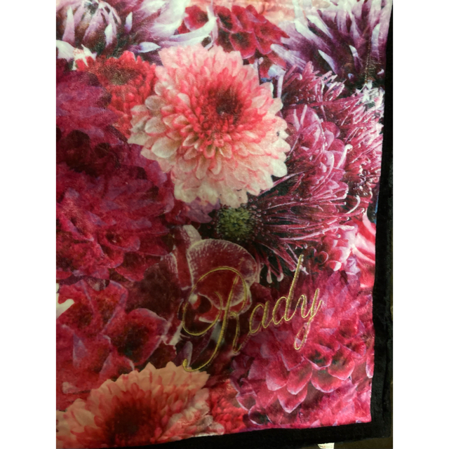 Rady - ぷぅ様専用✨Rady リゾフラ 毛布 ダブル の通販 by S♡Rady s