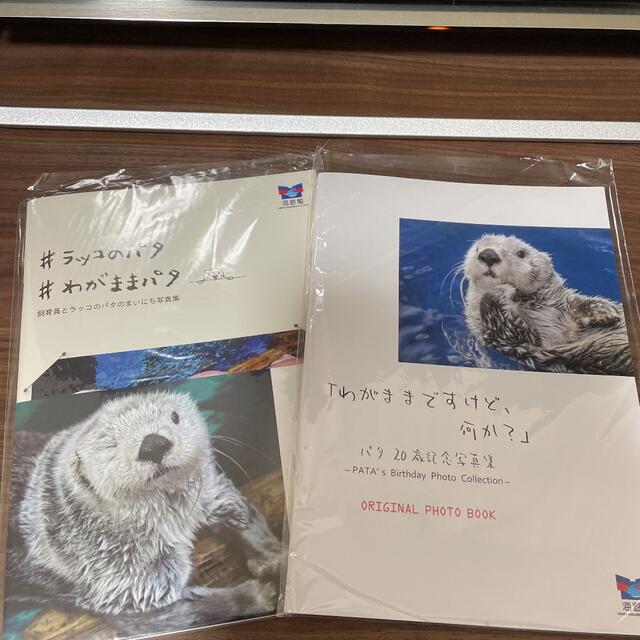 ラッコのパタ 写真集二冊 動物 海遊館 大阪の通販 by あおい｜ラクマ
