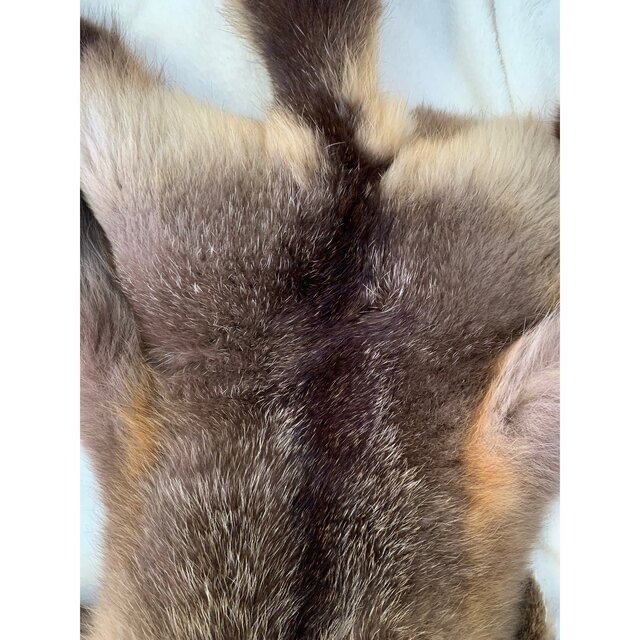 激レア】十字狐 ジュウジギツネ クロスフォックス 原皮 毛皮 ラグ 敷物