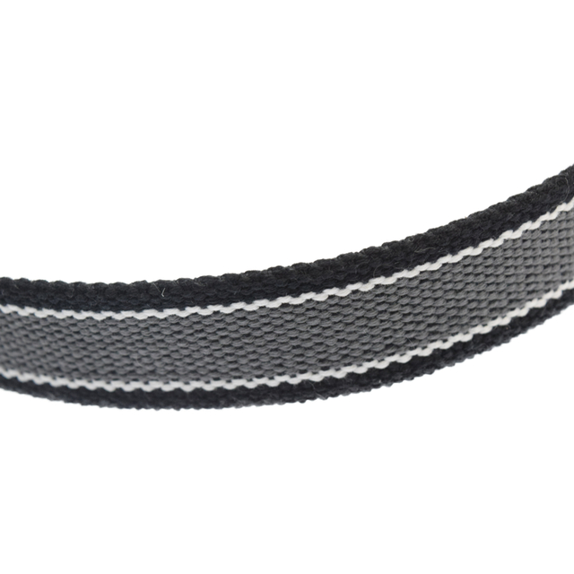 Supreme - SUPREME シュプリーム 22SS×Dickies Stripe Webbing Belt