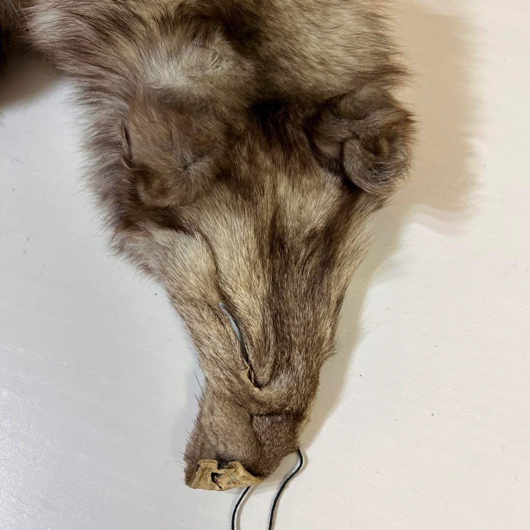 フォックス 狐 リアルファー 毛皮 本物 ロシアの通販 by うさぴょん's